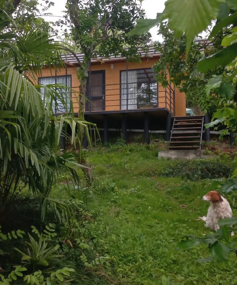 Anania Cottage Batumi 0*,